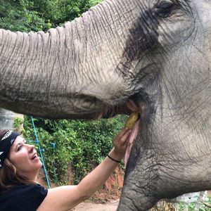 Meet your Posher, Caroline